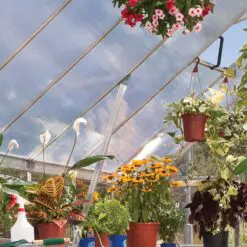 Palram Silver frame greenhouse 8x8' Silver reinforced roof Greenhouses