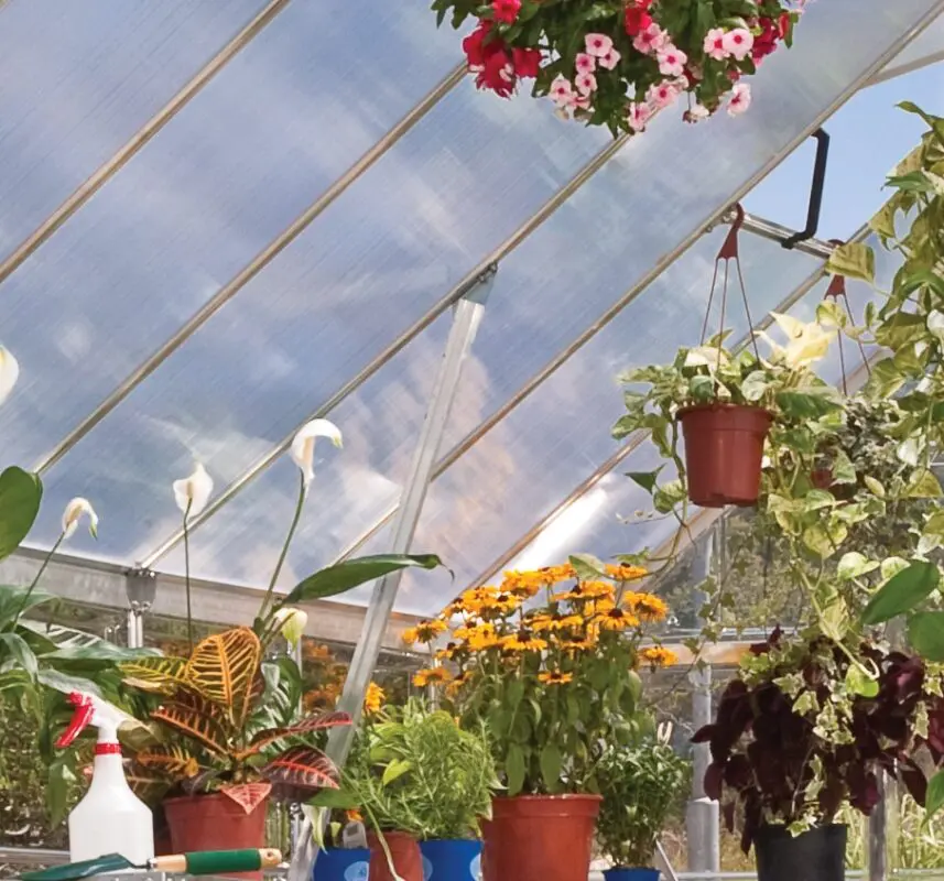 Palram Silver frame greenhouse 8x8' Silver reinforced roof Greenhouses